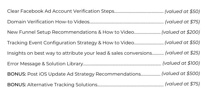 List of values for Elevate Her Marketing's Thriving After the iOS Privacy Update Mini Course